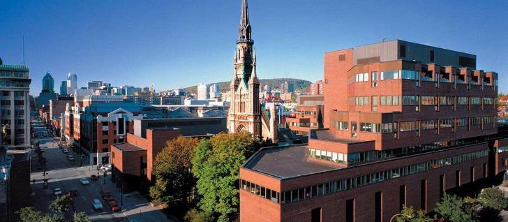 康考迪亚大学