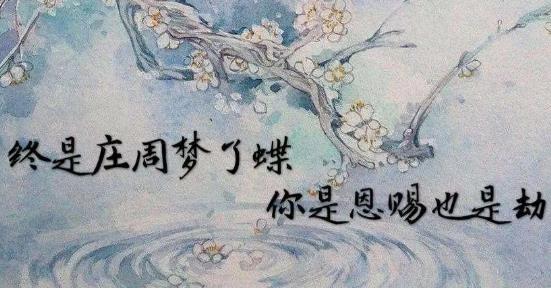 终是庄周梦了蝶