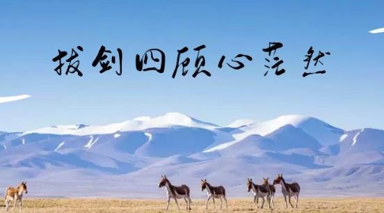 拔剑四顾心茫然