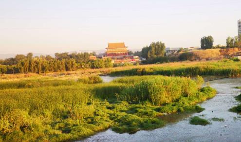 安得壮士挽天河