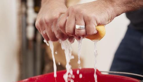 时间就像海绵里的水