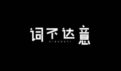 词不达意